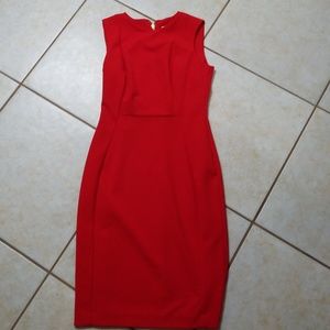 Calvin Klein Dress